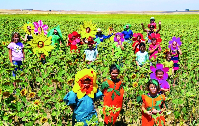 VILLALUMBROSO: Los niños y las flores son los que ponen color en los pueblos y en los campos. En esta foto de Villalumbroso venos unos coloridos campos de girasoles.  / VILLALUMBROSO