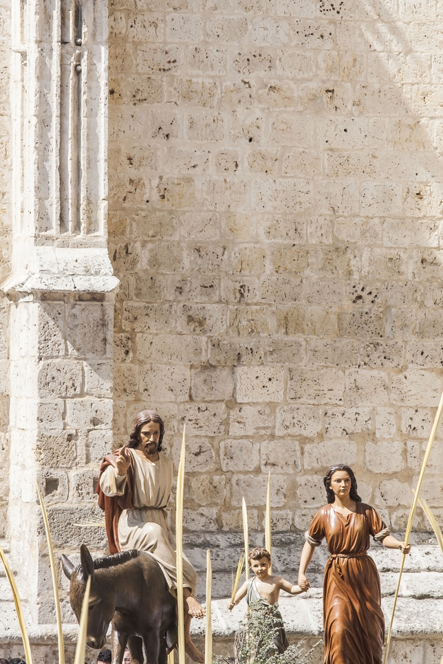 Procesión de la Borriquilla en Palencia.  / SARA MUNIOSGUREN