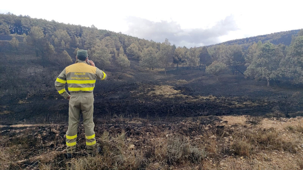 El clima ayuda a apagar el fuego en la Sierra de la Culebra | Todas las  noticias de Palencia