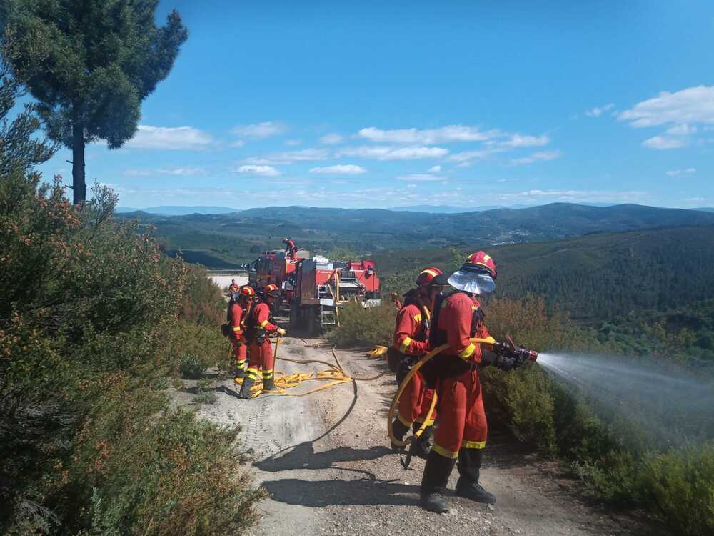 Declarado Peligro Medio De Incendios Forestales Hasta El Día 5 Todas