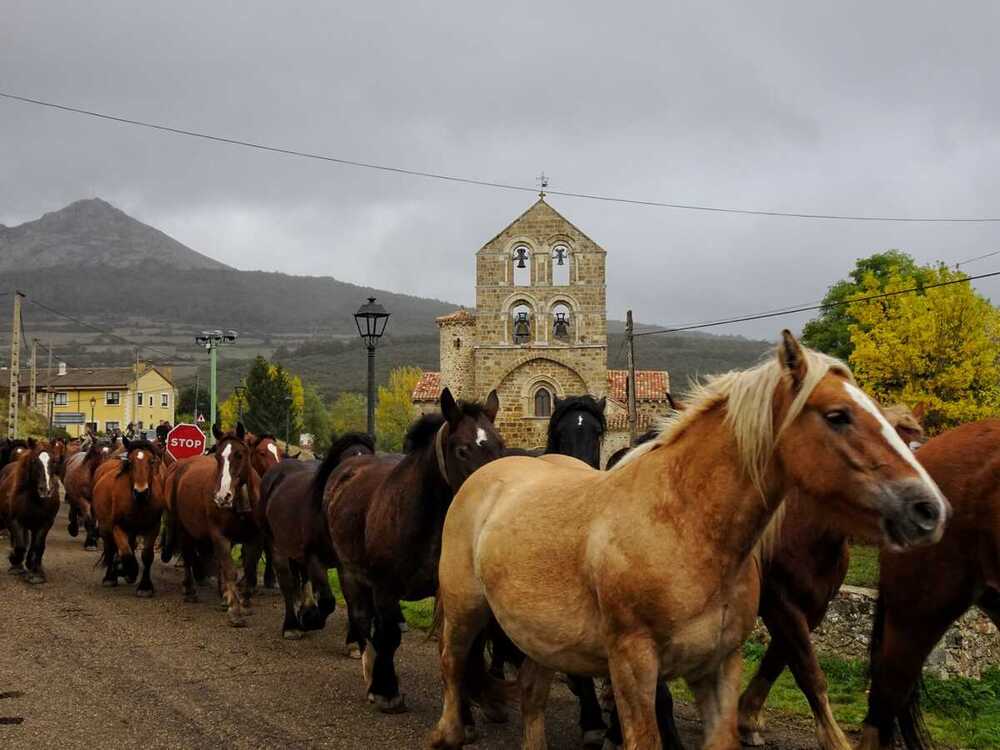 Los equinos toman La Pernía por un día