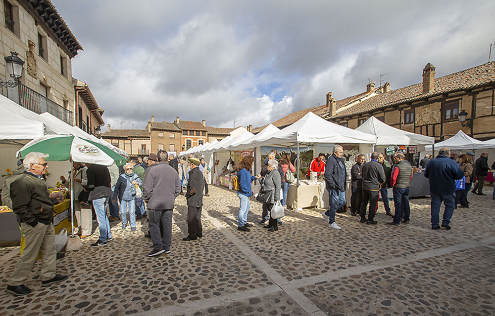 Reina la alubia y el producto artesano en Saldaña