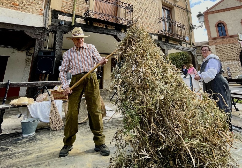 Reina la alubia y el producto artesano en Saldaña