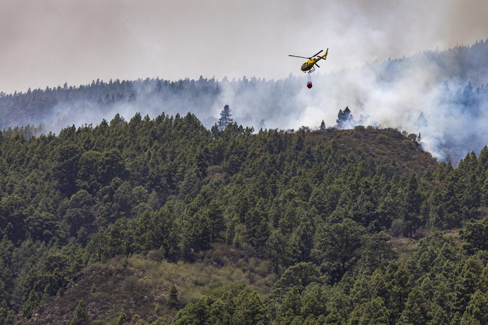 El incendio de Tenerife ya alcanza las casi 15.000 hectáreas calcinadas  / AGENCIAS