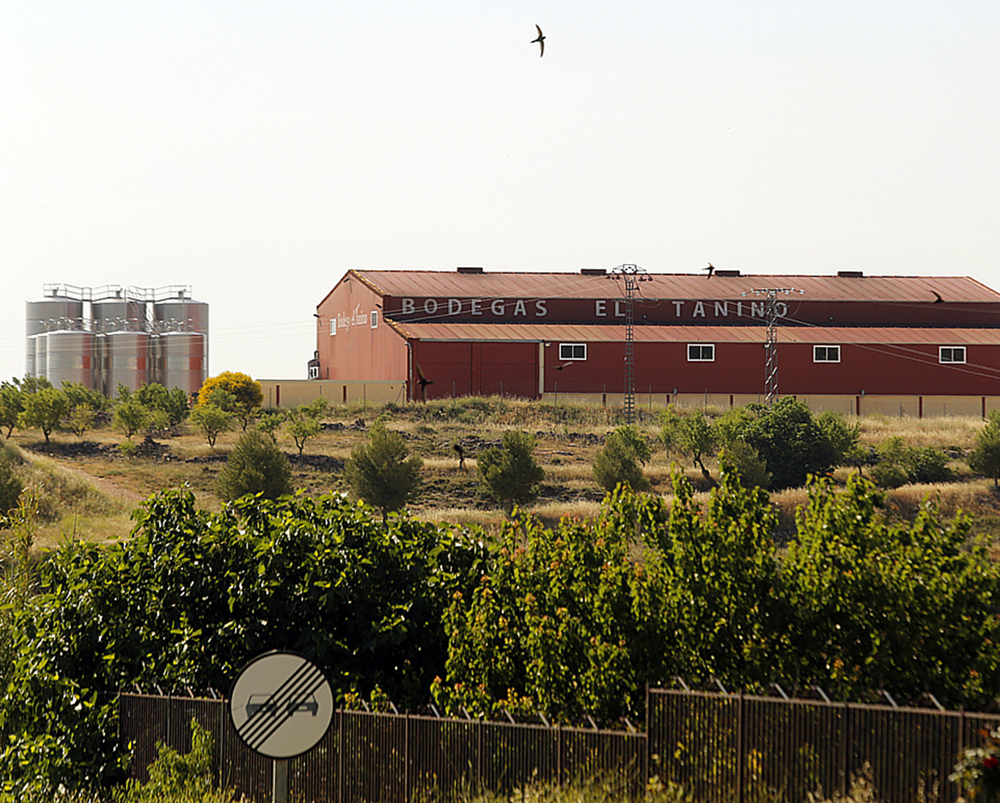 Vista de las Bodegas El Tanino en Hoya Gonzalo.