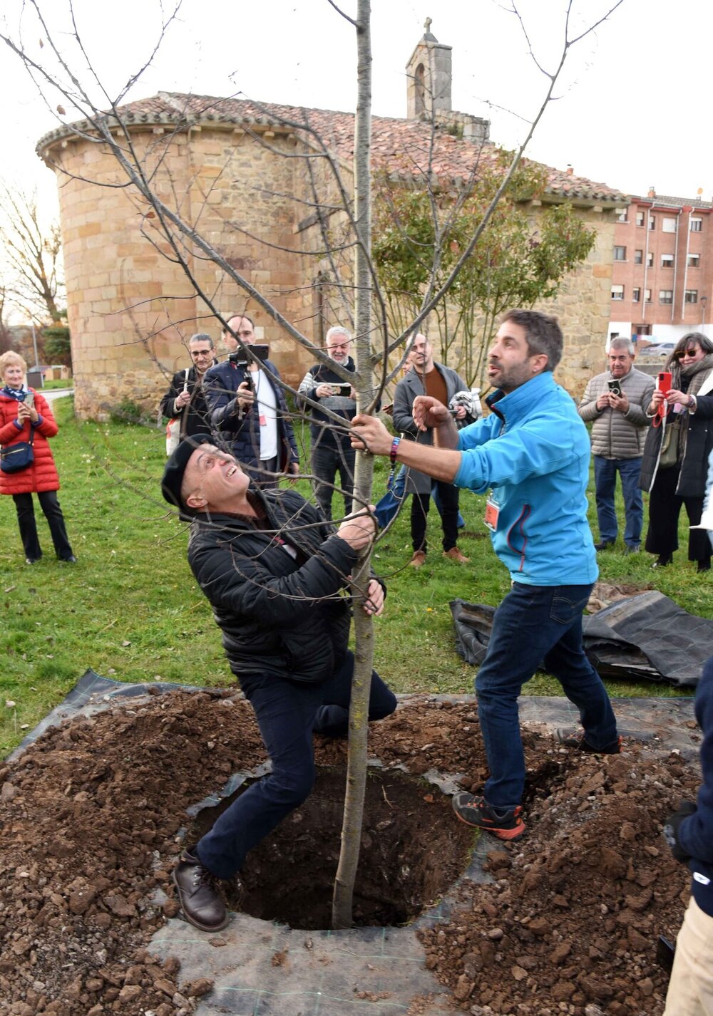 Un paseo de árbol en árbol de la mano de Águilas de Oro