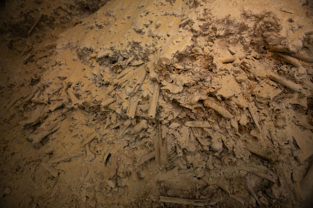 Lápidas y restos óseos hallados en la cripta prerrománica de la catedral de Palencia