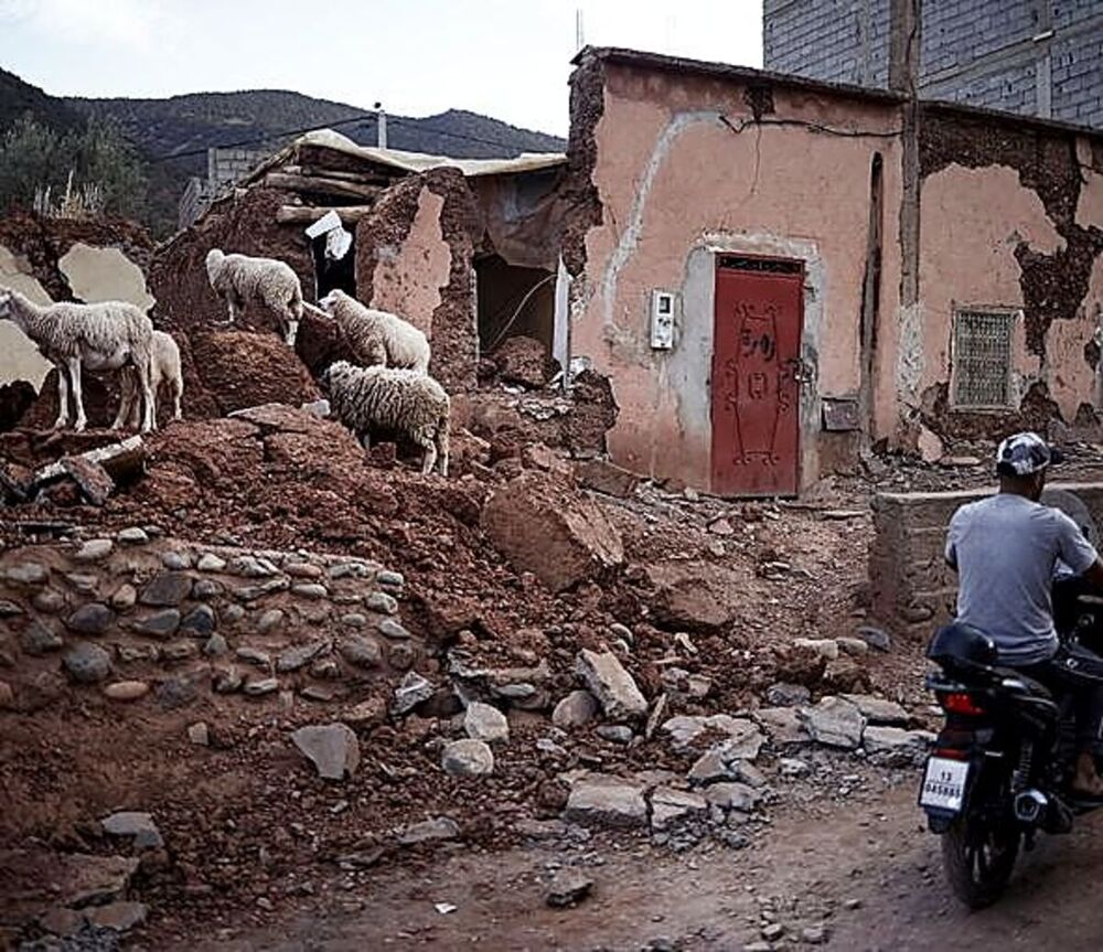 Las familias sobreviven gracias al ganado y la agricultura 