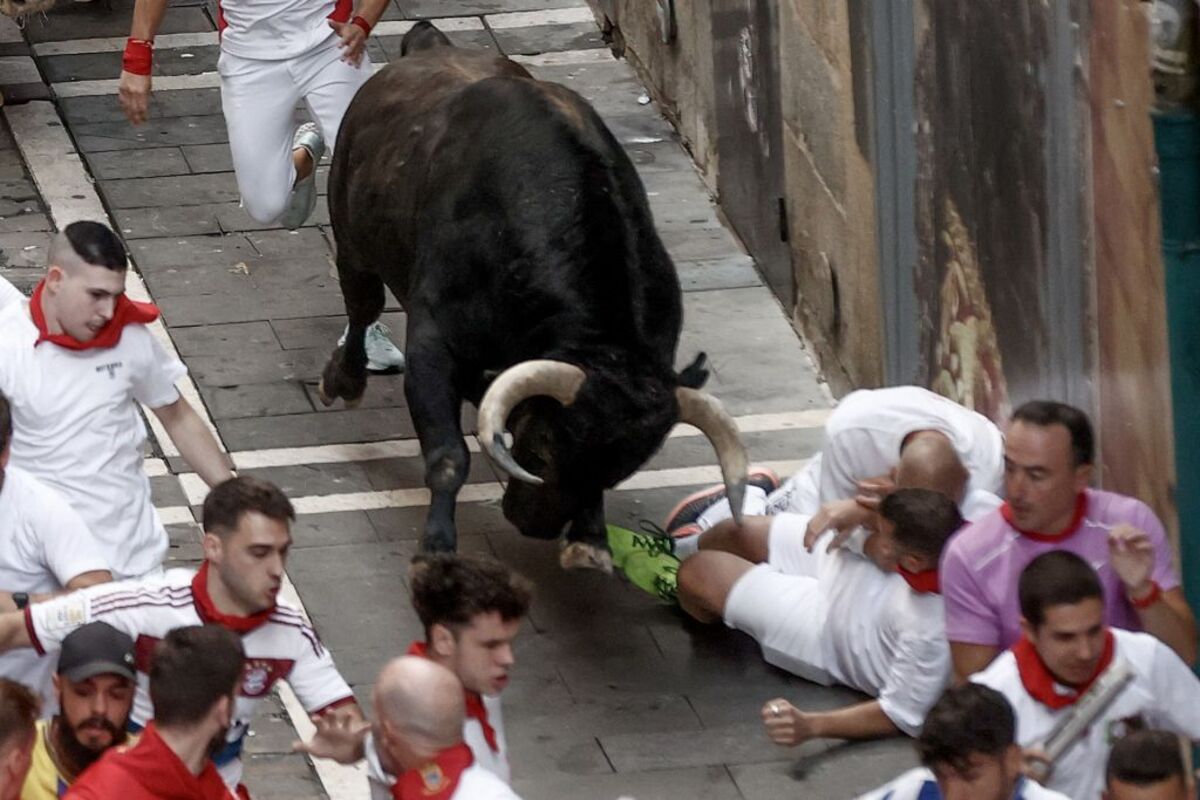 Los toros de Domingo Hernández en el quinto encierro de los Sanfermines  / JESÚS DIGES