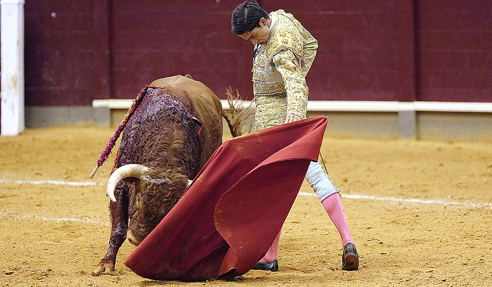 El Mene, triunfador del Circuito de Novilladas de CyL