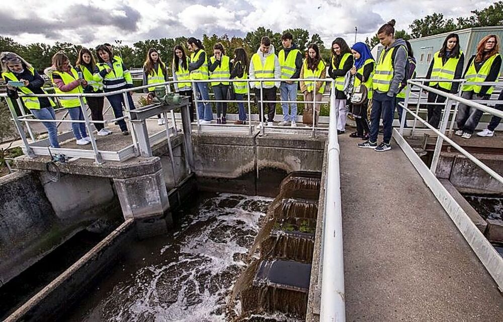 Ecofactoría ejemplar