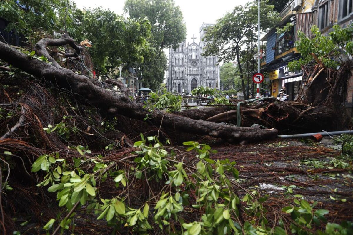 Four dead and dozens injured after typhoon Yagi makes landfall in Vietnam  / LUONG THAI LINH