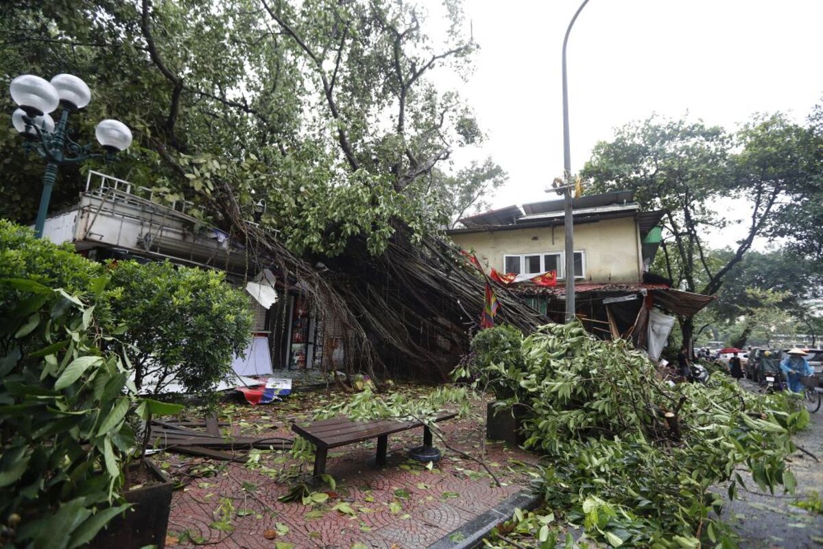 Four dead and dozens injured after typhoon Yagi makes landfall in Vietnam  / LUONG THAI LINH