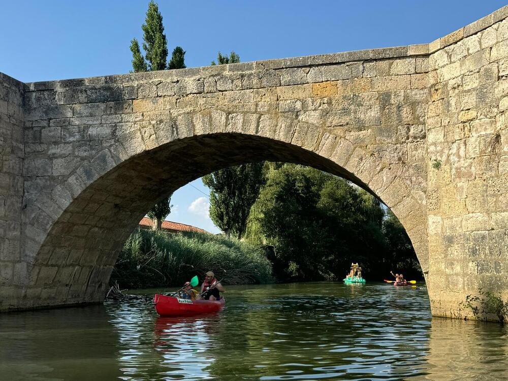 Usuarios remando por debajo de un puente durante la actividad.