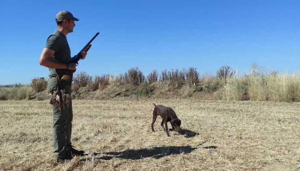 La caza, por debajo de lo previsto