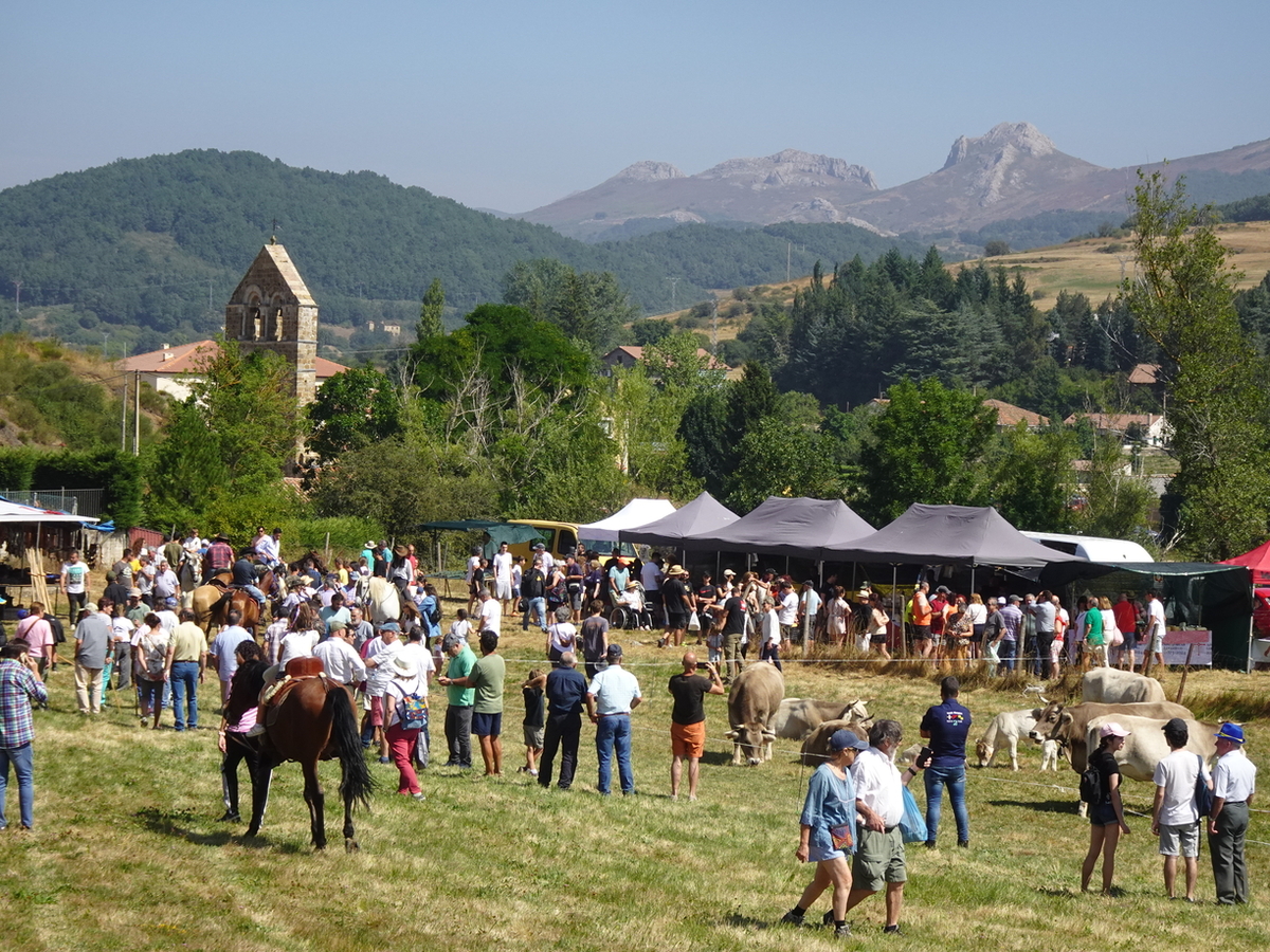 Feria de San Bernardo en La Pernía  / AYUNTAMIENTO DE LA PERNÍA