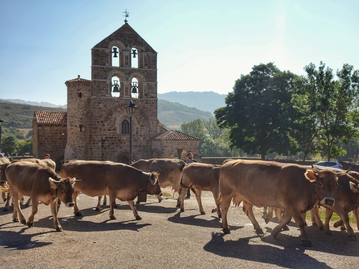 Feria de San Bernardo en La Pernía  / AYUNTAMIENTO DE LA PERNÍA