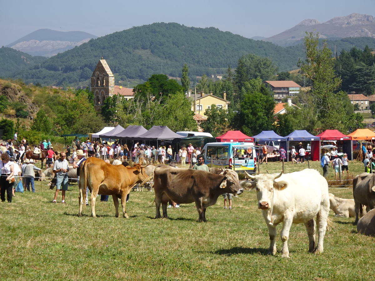 Feria de San Bernardo en La Pernía  / AYUNTAMIENTO DE LA PERNÍA