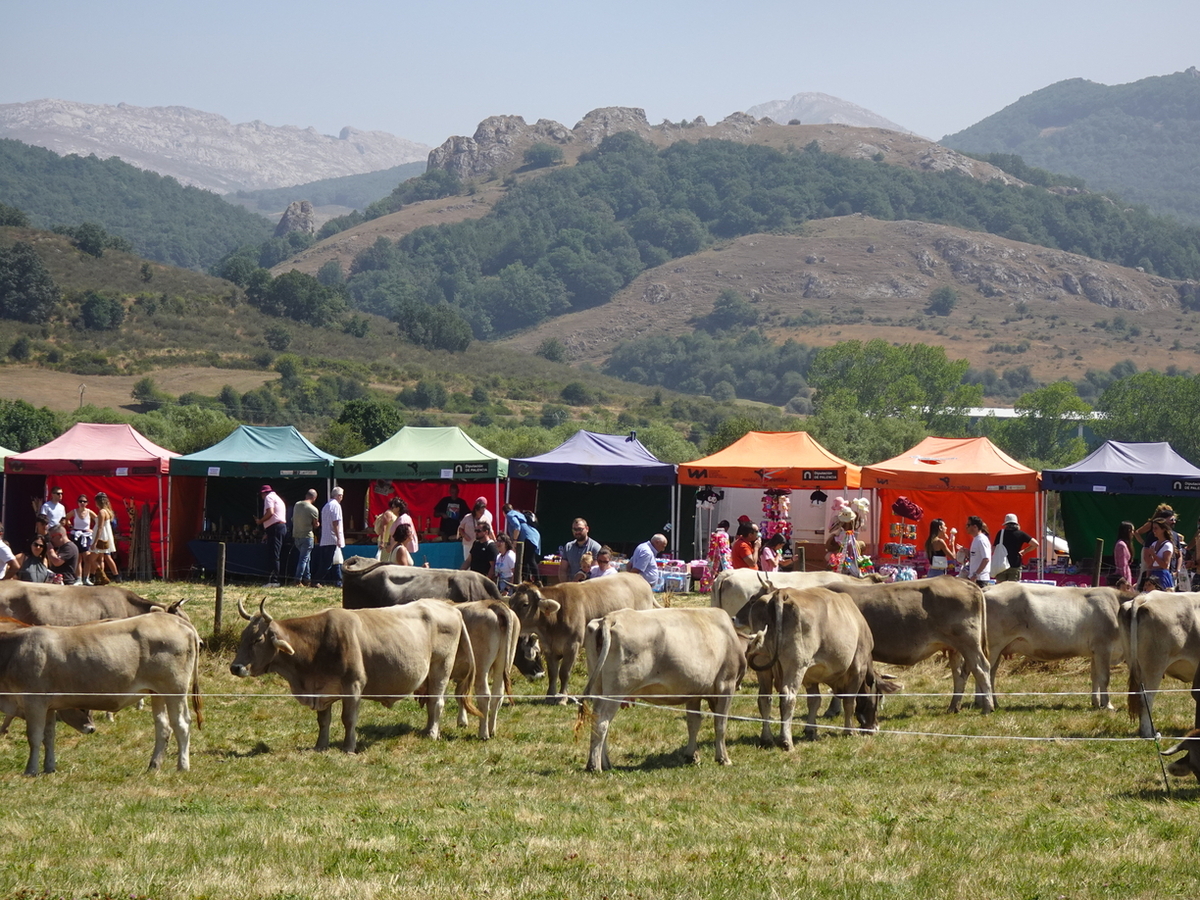 Feria de San Bernardo en La Pernía  / AYUNTAMIENTO DE LA PERNÍA