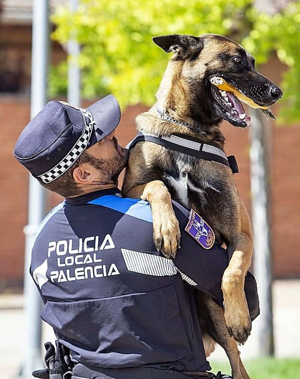 Nao, Gea y Urko. Los tres perros de la Unidad Canina entrenan cada día para no perder su destreza.