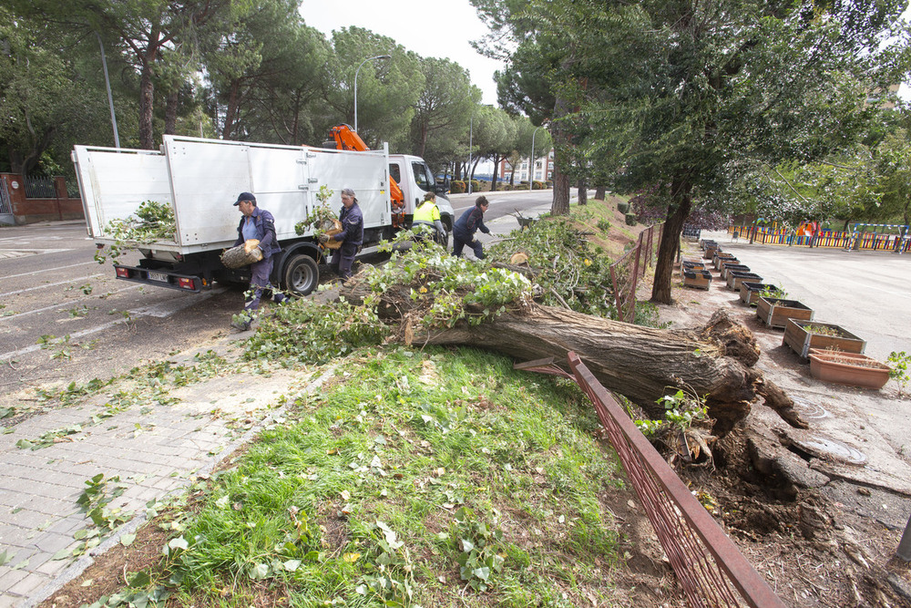 Kirk deja sin luz a 800 clientes y en tierra a 140 viajeros