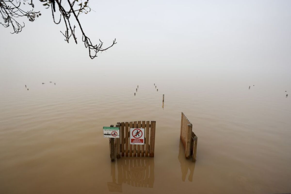 Lluvias torrenciales afectan Albufera  / MANUEL BRUQUE