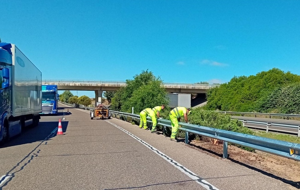 El Gobierno licita en 24M€ el arreglo de carreteras palentinas