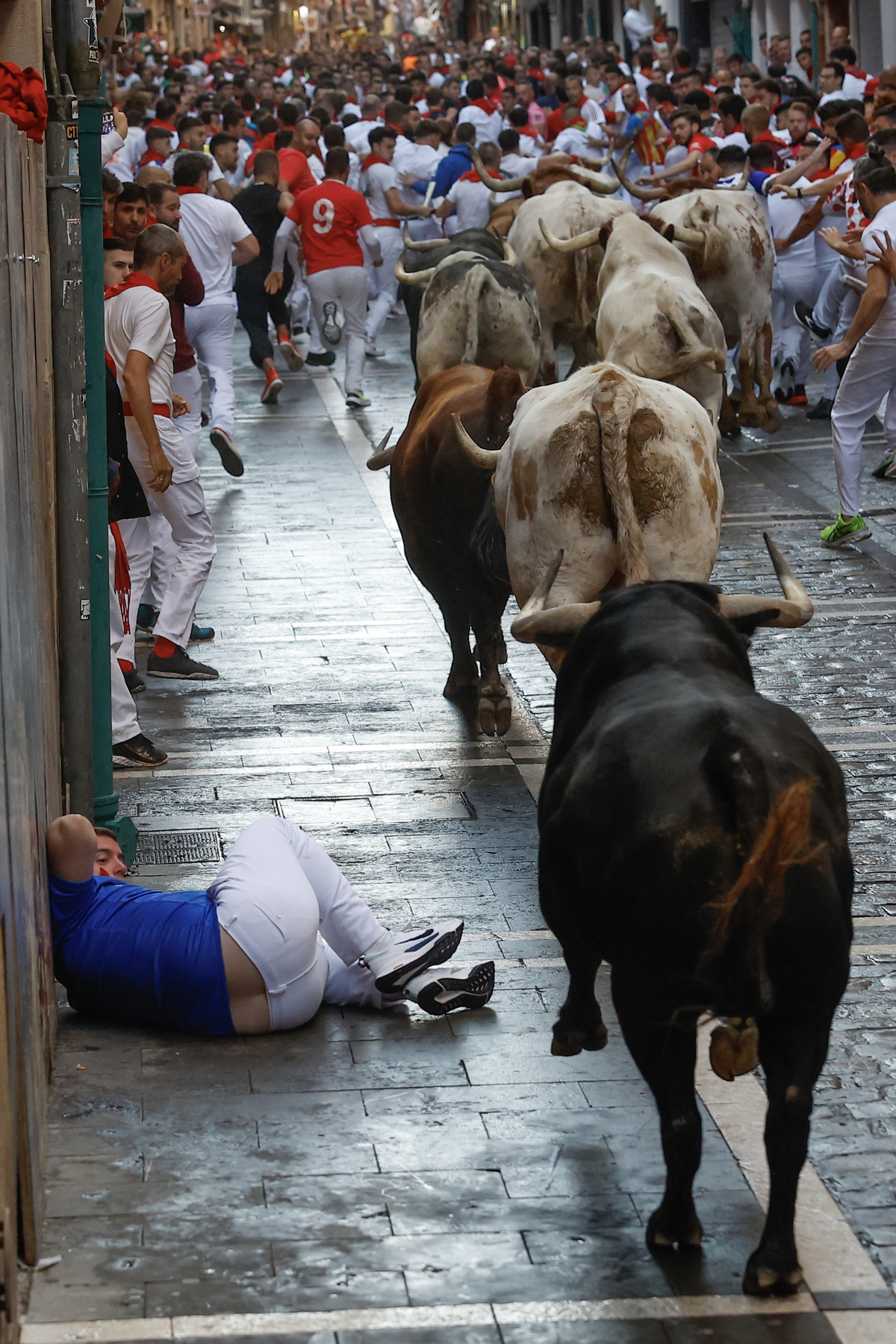 Los toros Cebada Gago protagonizan un encierro rápido y peligroso  / EFE/VILLAR LÓPEZ