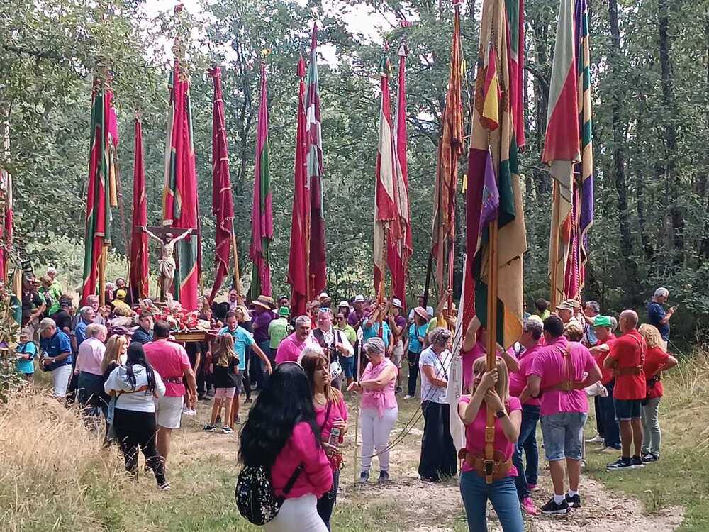 Cetrería, buenas viandas y pendones festivos