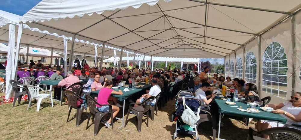 Cetrería, buenas viandas y pendones festivos