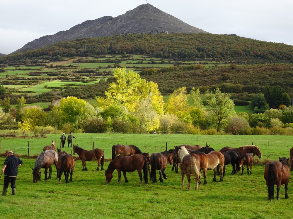 Al trote y al galope entre las cumbres