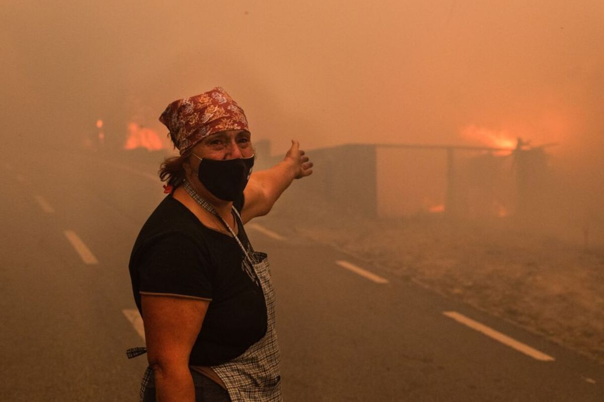 Forest fire in Portugal  / JOSE COELHO