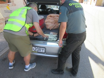 Detienen a cuatro personas por delito de hurto en Saldaña