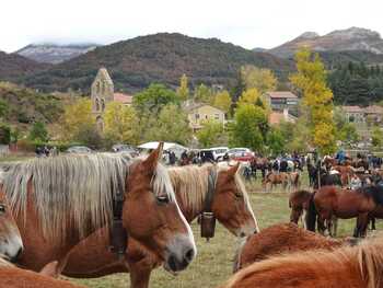 Los equinos toman La Pernía por un día