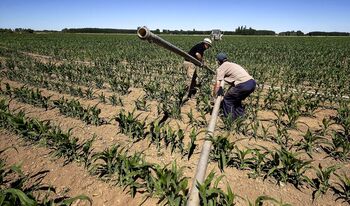 Las tierras palentinas, las únicas que pierden valor en CyL