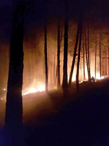 La campaña de incendios no ha dejado 