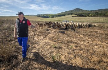 La Rioja iniciará los anticipos de la PAC la próxima semana