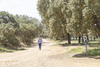 494 bosques podrán acogerse a la nueva Red de Montes Públicos