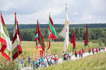 Medio centenar de pendones se dan cita en Poza de la Vega