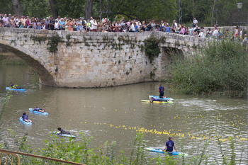 Puntitos amarillos en el río