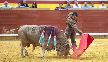 Manzanares, Roca Rey y Ginés Marín, broche de oro de la feria