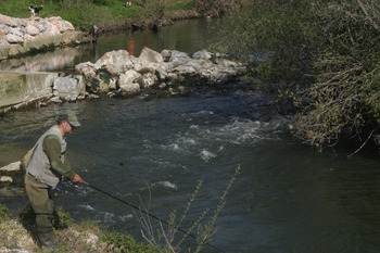 Prohíben la pesca de truchas del 1 de mayo al 15 de julio