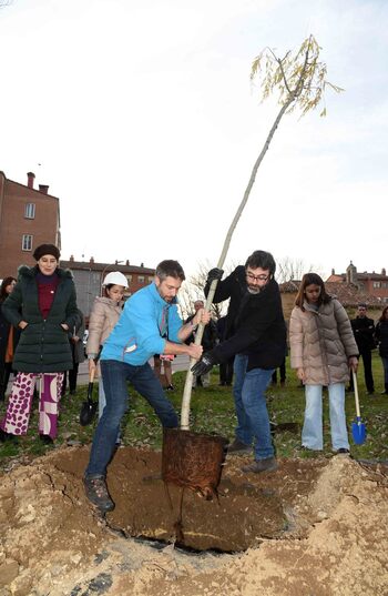 Un paseo de árbol en árbol de la mano de Águilas de Oro