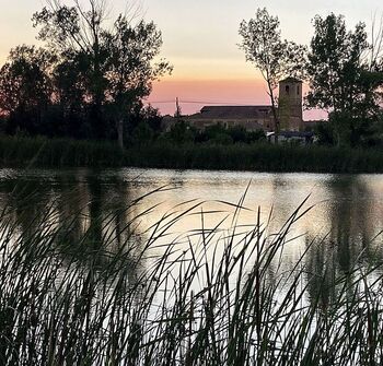 La laguna de Marcilla de Campos recibió 400 visitantes en 2024