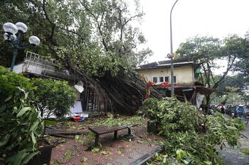 El tifón 'Yagi' deja 14 muertos en Vietnam