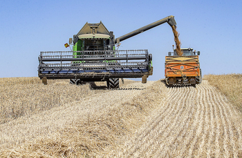 5.261 ganaderos y agricultores ingresarán 103,73M€ de la PAC