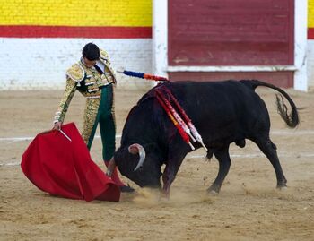 Cristiano Torres y El Mene, en la semifinal de Herrera