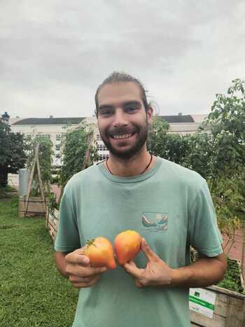 Tomate que sabe a tomate