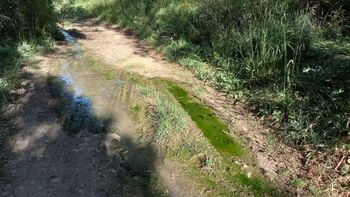 EA denuncia un vertido de agua residual en el monte El Viejo