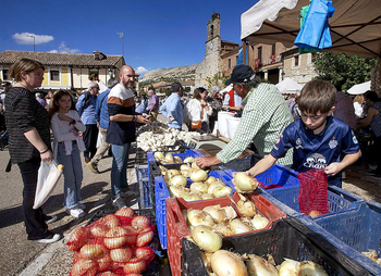 Cebolla de honor por el apego al medio rural